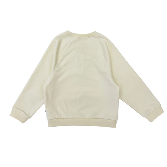 Boy's Snake Patchwork Raglan Sleeve pullover - My Little J
