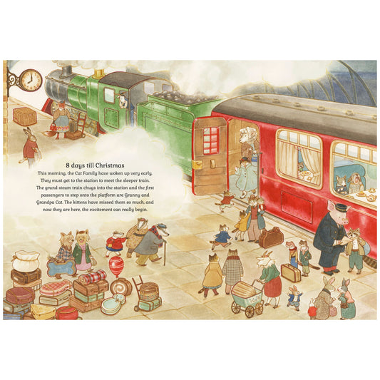 Cat Family Christmas: An Advent Lift-the-Flap Book