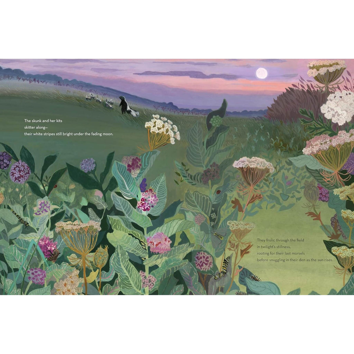 When Twilight Comes : The Animals and Plants That Bring Dawn and Dusk to Life – inside pages