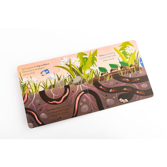 Big Outdoors for Little Explorers: Minibeasts – inside pages