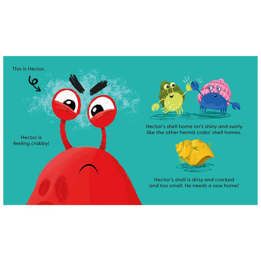 Feeling Crabby : Can YOU help Hector the hermit crab find a new home? - My Little J