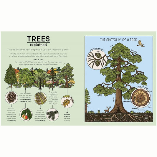 Nature Explained : A Family Guide to 20 Nature Cycles - My Little J