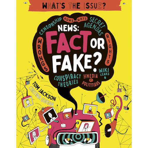 Fake News (What's the Issue?) - My Little J