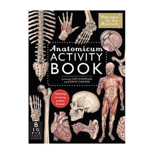 Anatomicum Activity Book - My Little J
