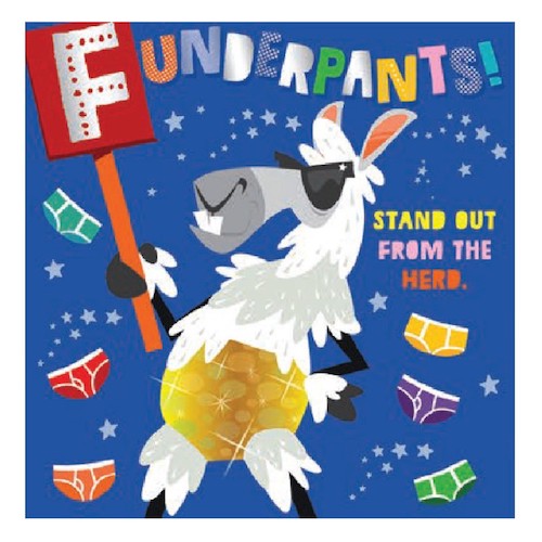 Funderpants! - My Little J