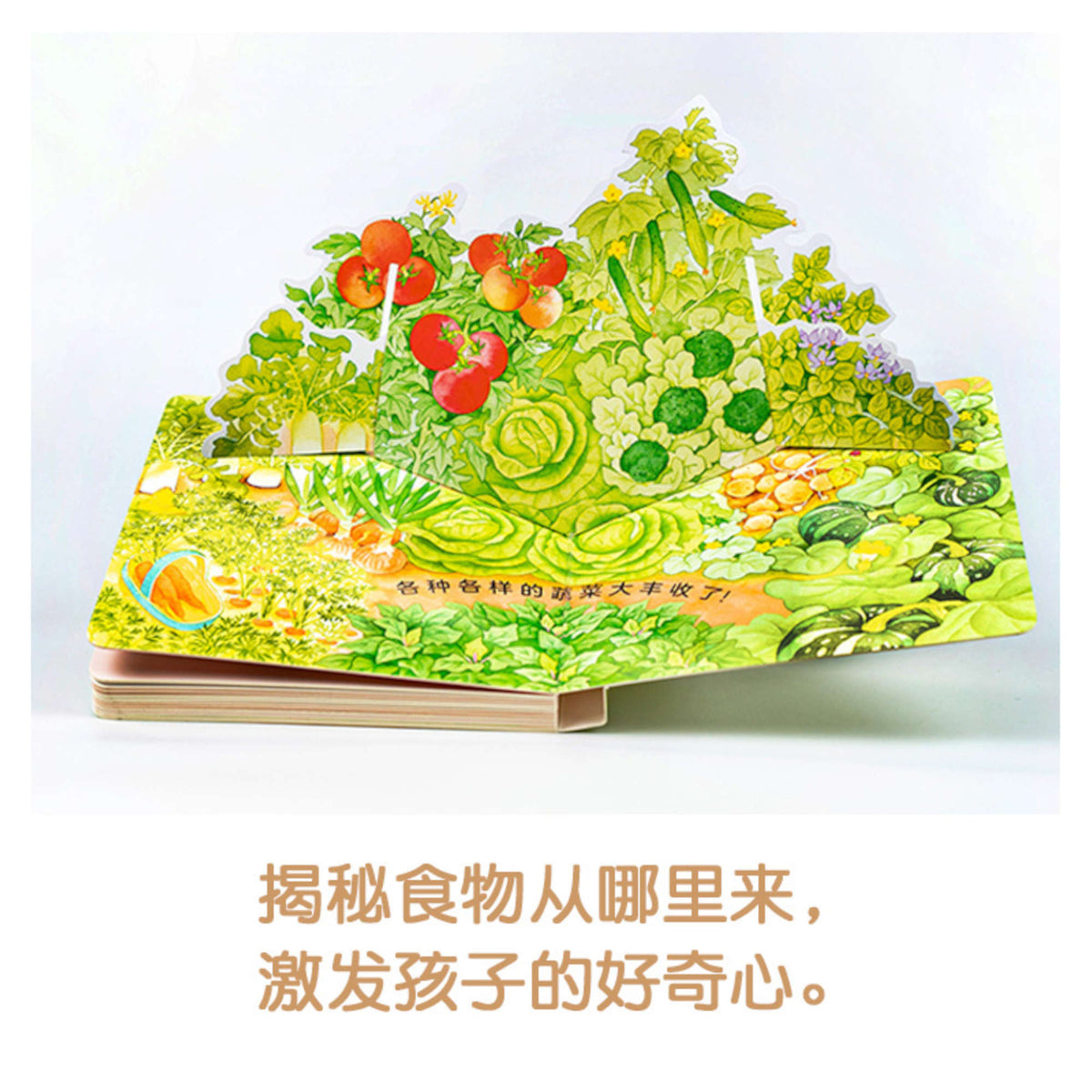 吃水果蔬菜 (三册）
