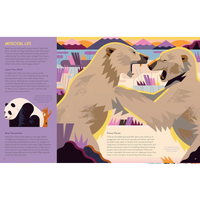 Brainy About Bears