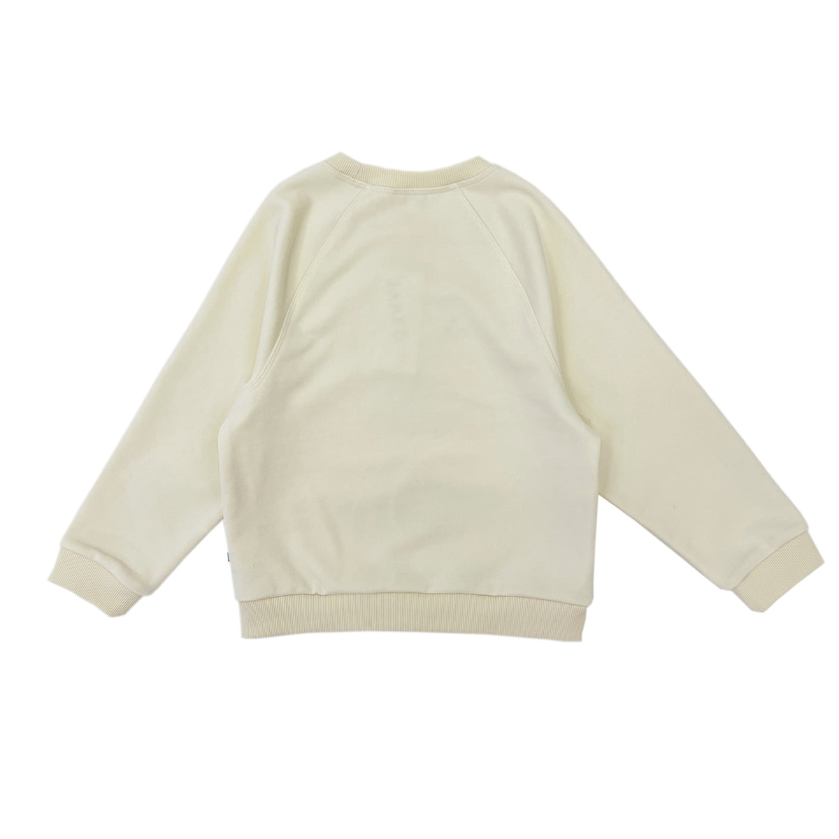 Boy's Snake Patchwork Raglan Sleeve pullover