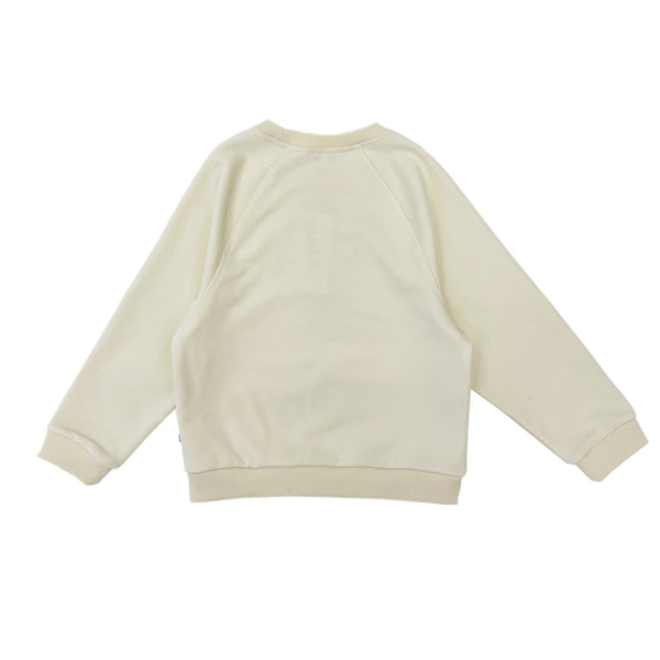 Boy's Snake Patchwork Raglan Sleeve pullover