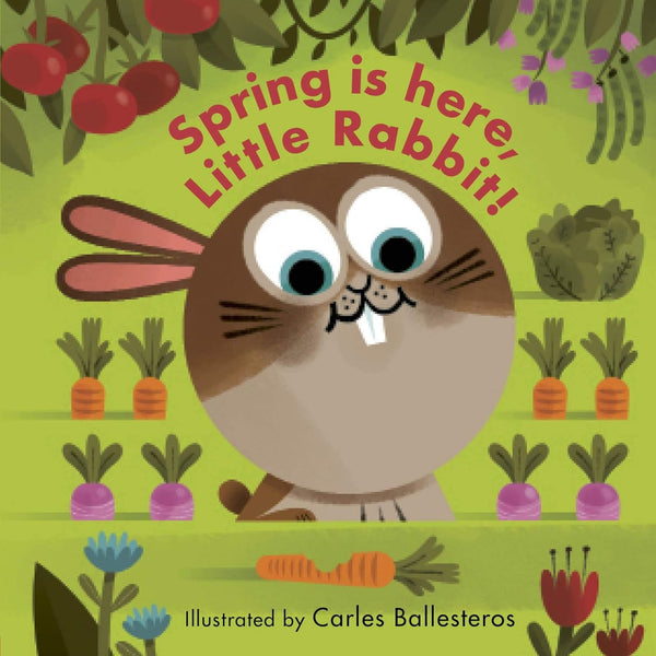 Spring Is Here, Little Rabbit! (Little Faces)