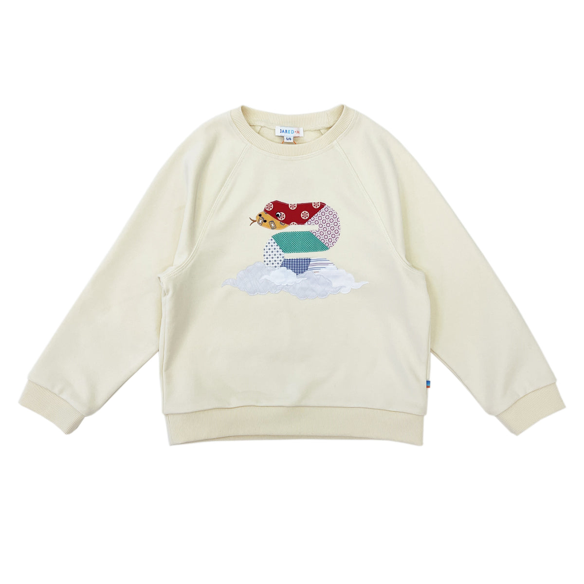 Boy's Snake Patchwork Raglan Sleeve pullover