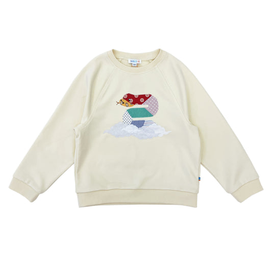 Boy's Snake Patchwork Raglan Sleeve pullover - My Little J