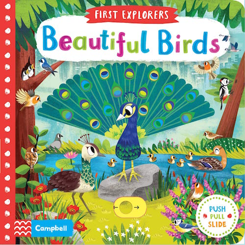 Beautiful Birds (First Explorers) - My Little J