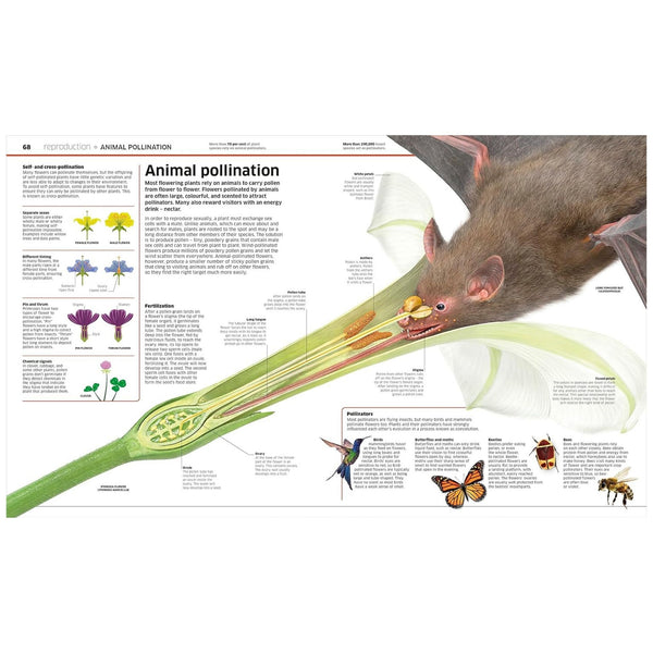 Knowledge Encyclopedia Plants and Fungi! Our Growing World As You've Never Seen It Before (Hardcover)