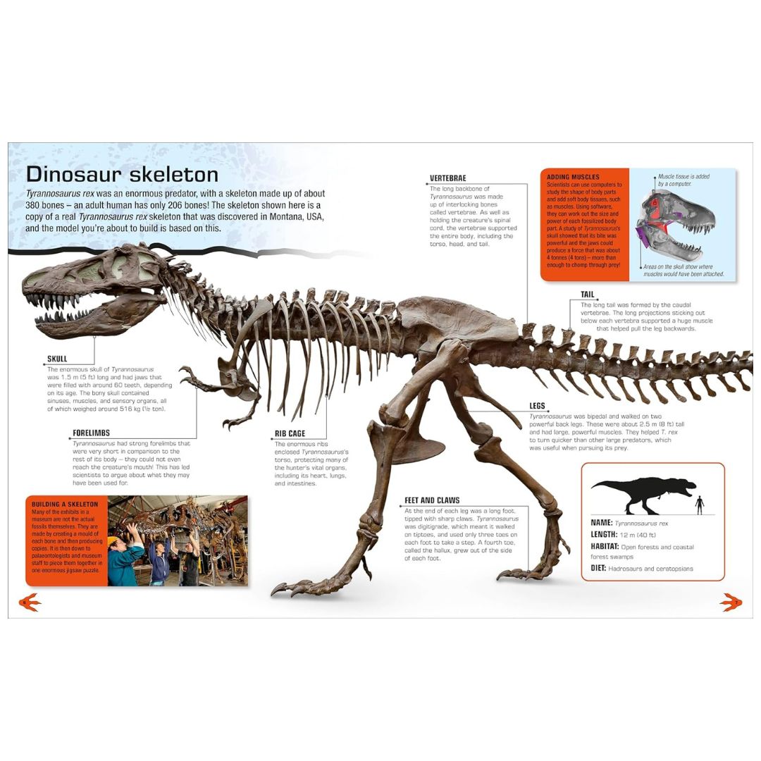 Make Your Own T. Rex : Easy to Build - No Glue, No Mess! - My Little J