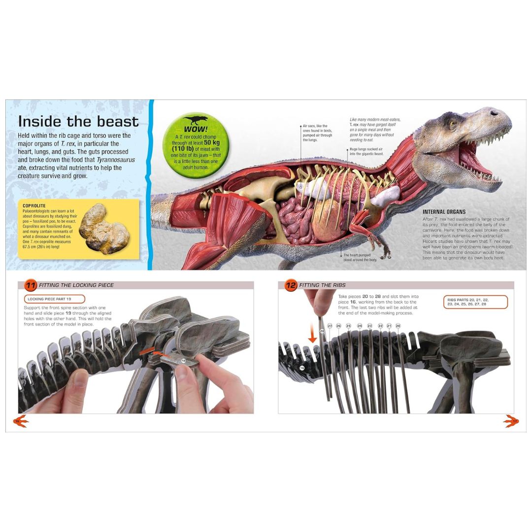 Rex Making Make Your Own T. Rex : Easy to Build - No Glue, No Mess! – My Little J
