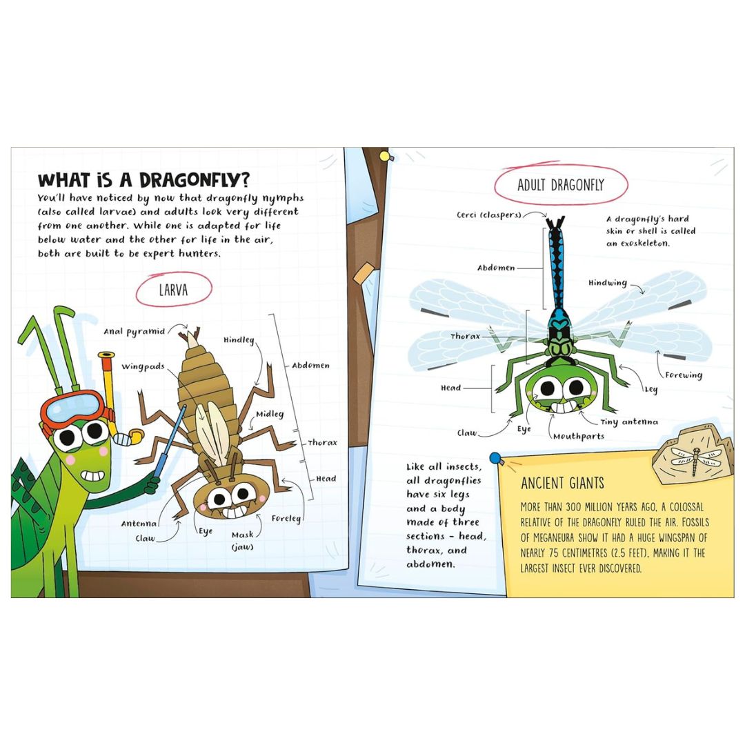 How to be a Dragonfly (in association with the Royal Entomological Society) - My Little J