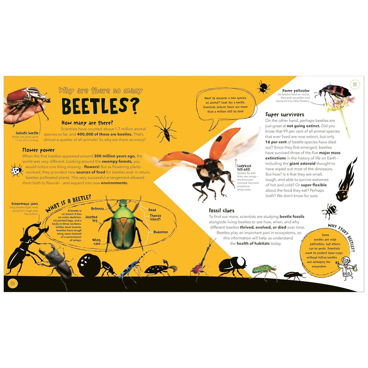 Things Scientists Don't Know Yet : The Unsolved Mysteries of Science