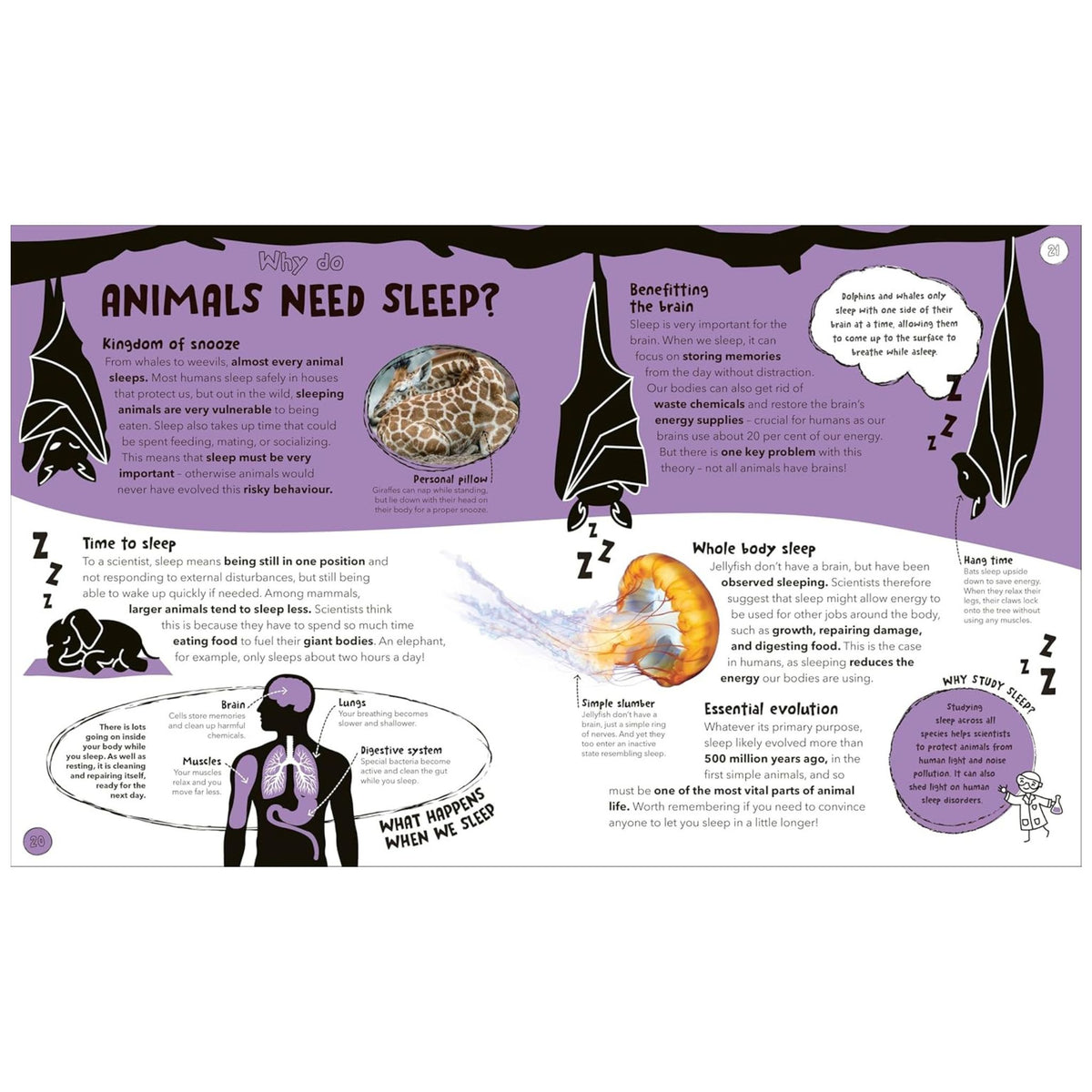 Things Scientists Don't Know Yet : The Unsolved Mysteries of Science - My Little J