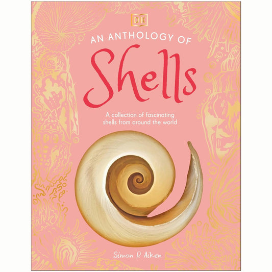 An Anthology of Shells : A Collection of Fascinating Shells from Around the World - My Little J