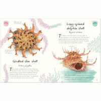 An Anthology of Shells : A Collection of Fascinating Shells from Around the World