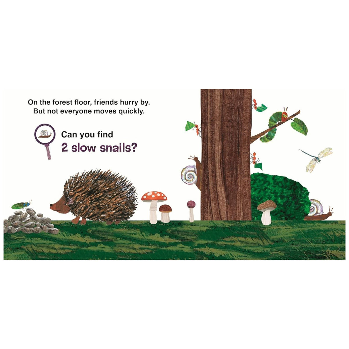 The Very Hungry Caterpillar's Nature Walk A Search-And-Find Book ()