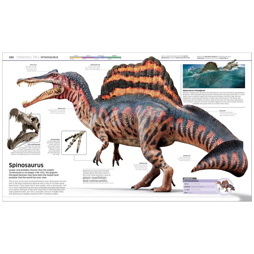 Knowledge Encyclopedia Dinosaur! - My Little J