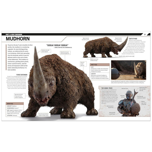 Star Wars the Mandalorian Visual Guide ()