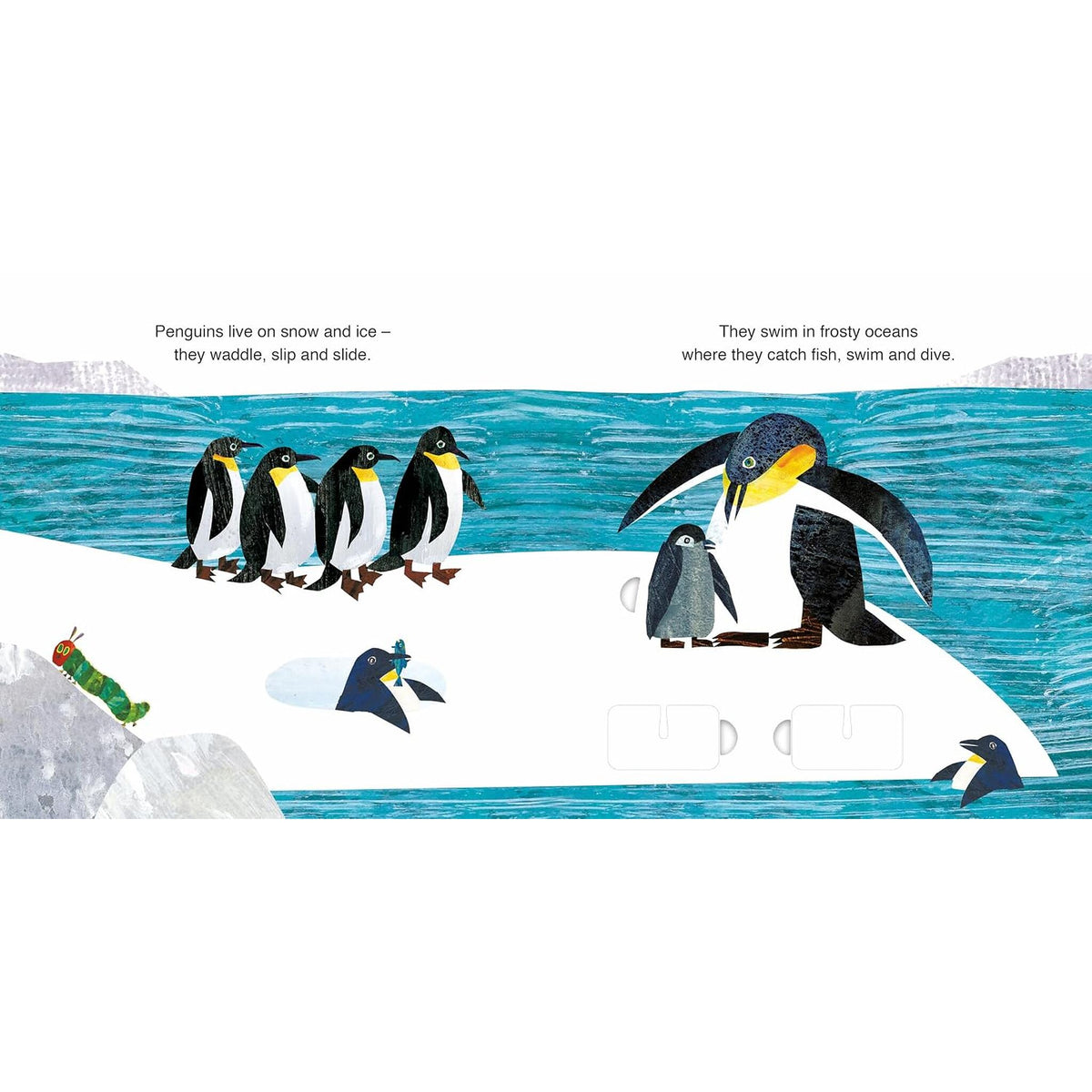 Animal Homes with The Very Hungry Caterpillar: A Press-Out-and-Play Book – inside pages