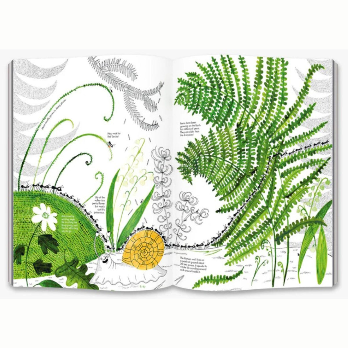 1001 Ants - My Little J