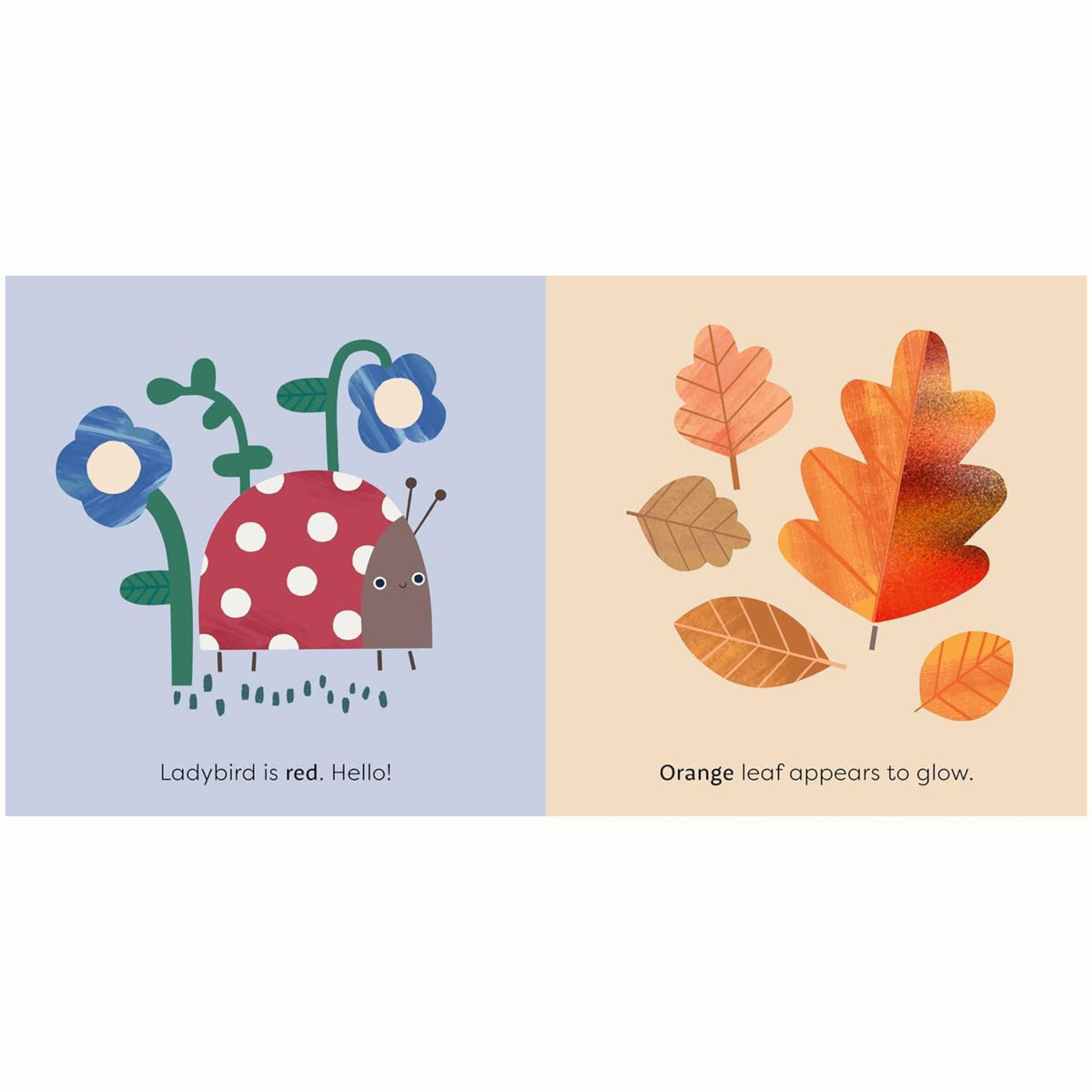 MiniTouch: Nature : Touch-and-feel first colours - My Little J