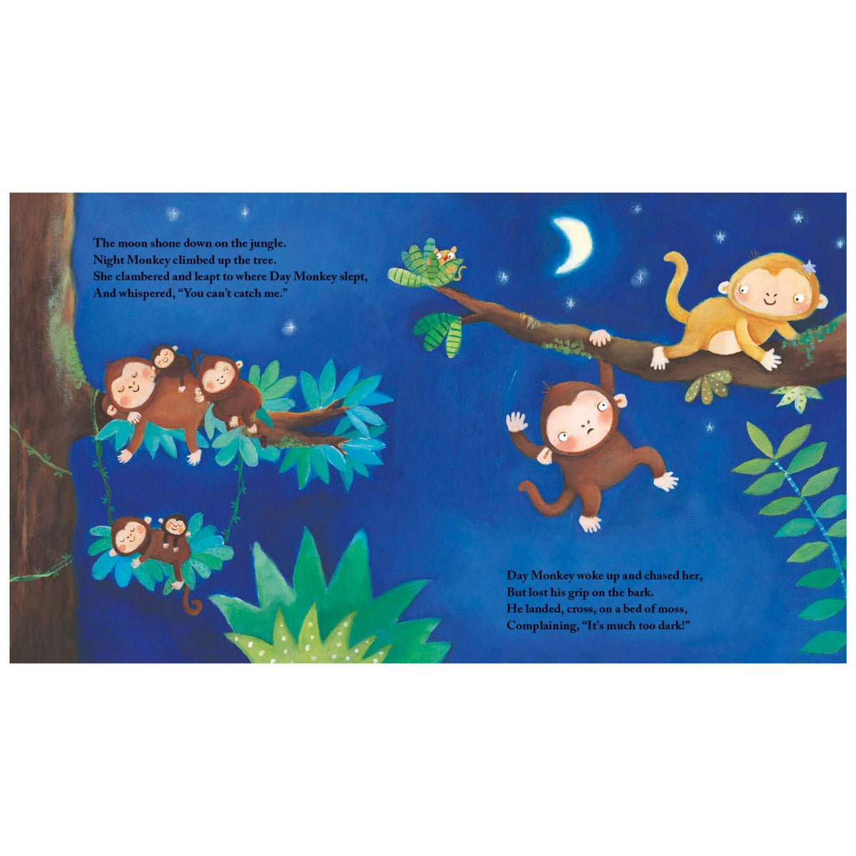 Night Monkey, Day Monkey - My Little J