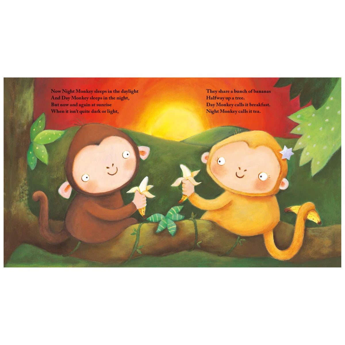 Night Monkey, Day Monkey