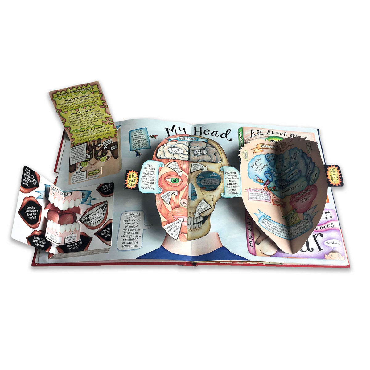 My Pop-Up Body Book - My Little J