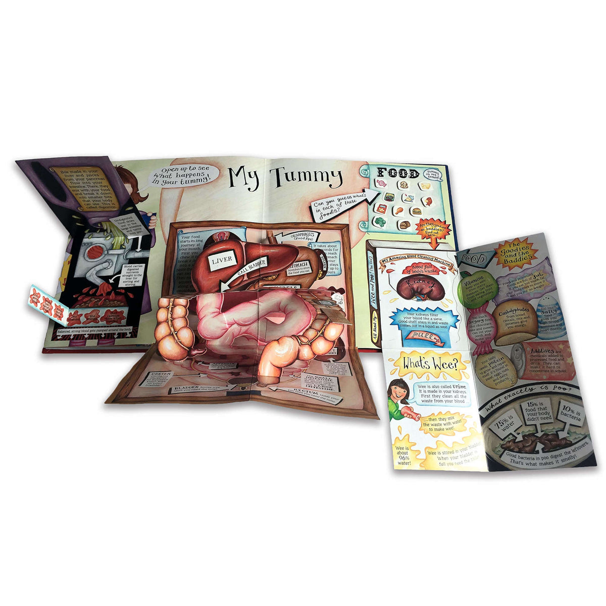 My Pop-Up Body Book - My Little J