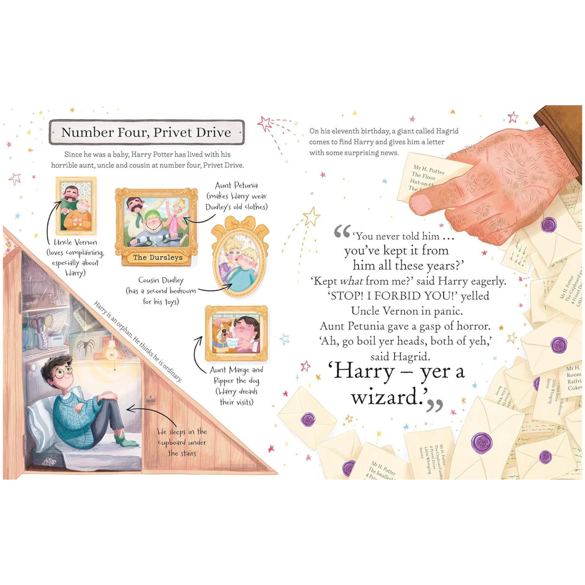 Harry Porter : The must-have Christmas stocking filler for Potter fans!