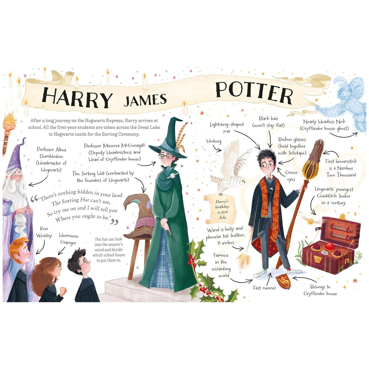 Harry Porter : The must-have Christmas stocking filler for Potter fans!