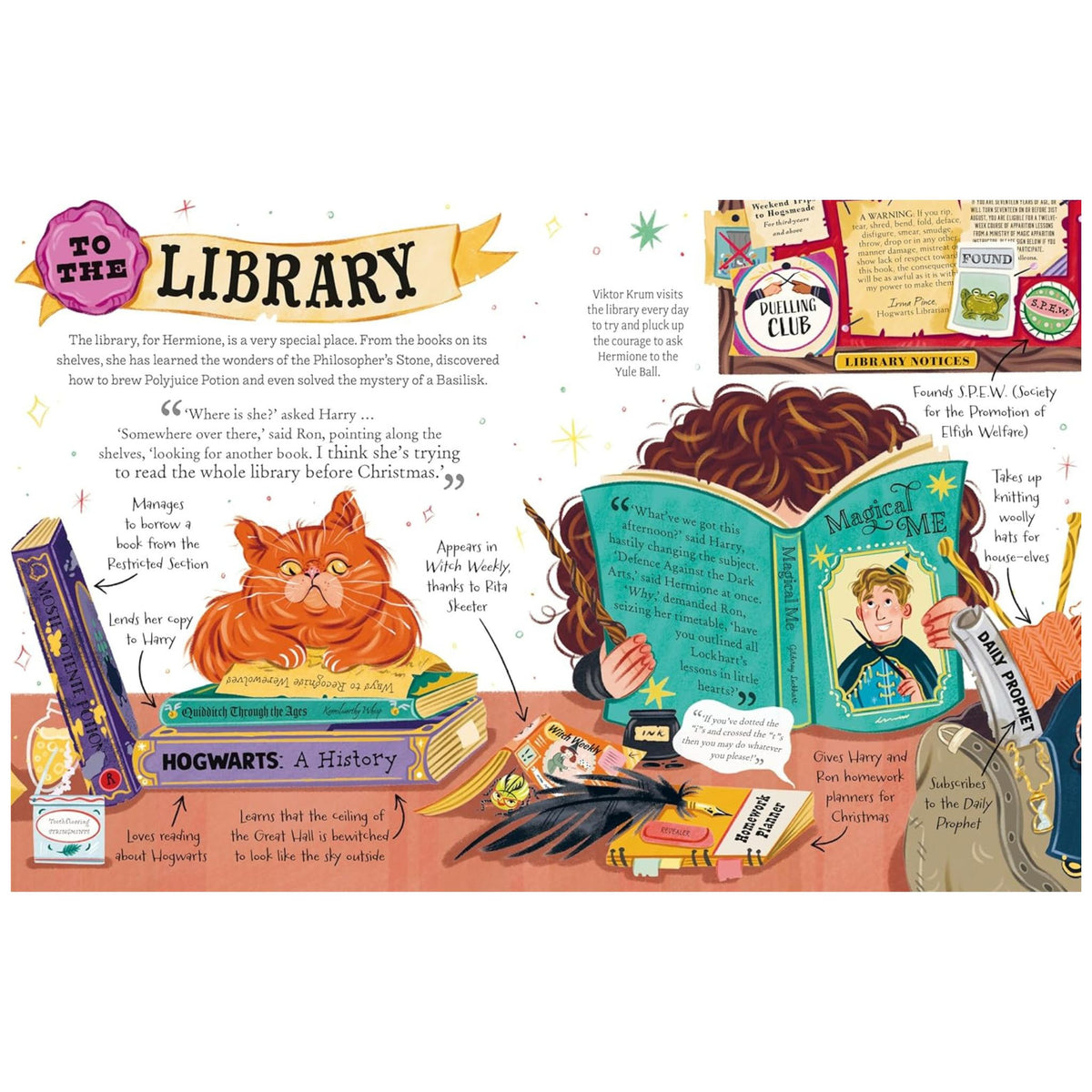 Hermione Granger : The must-have Christmas stocking filler for Potter fans!