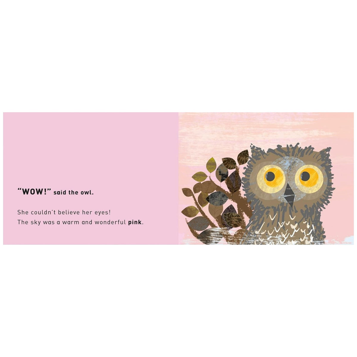 WOW! Said the Owl A First Book of Colours (Board book)