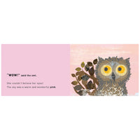 WOW! Said the Owl A First Book of Colours (Board book)
