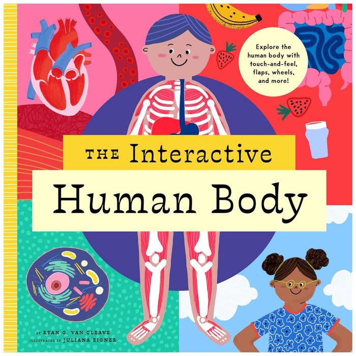 The Interactive Human Body Explore the Human Body with Flaps, Wheels, Levers, Touch and Feel, and More! (Hardcover)