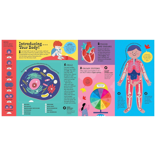 The Interactive Human Body Explore the Human Body with Flaps, Wheels, Levers, Touch and Feel, and More! (Hardcover)