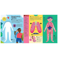 The Interactive Human Body Explore the Human Body with Flaps, Wheels, Levers, Touch and Feel, and More! (Hardcover)