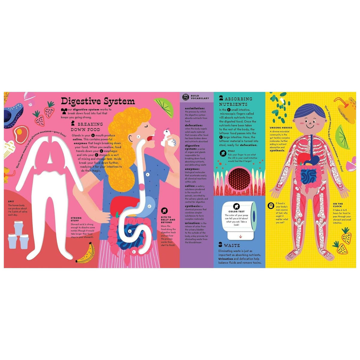 The Interactive Human Body Explore the Human Body with Flaps, Wheels, Levers, Touch and Feel, and More! (Hardcover)
