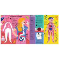 The Interactive Human Body Explore the Human Body with Flaps, Wheels, Levers, Touch and Feel, and More! (Hardcover)