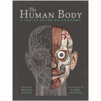 The Human Body : A Pop-Up Guide to Anatomy