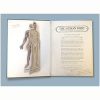 The Human Body : A Pop-Up Guide to Anatomy