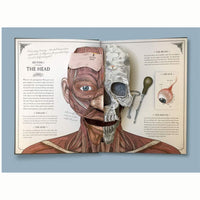 The Human Body : A Pop-Up Guide to Anatomy