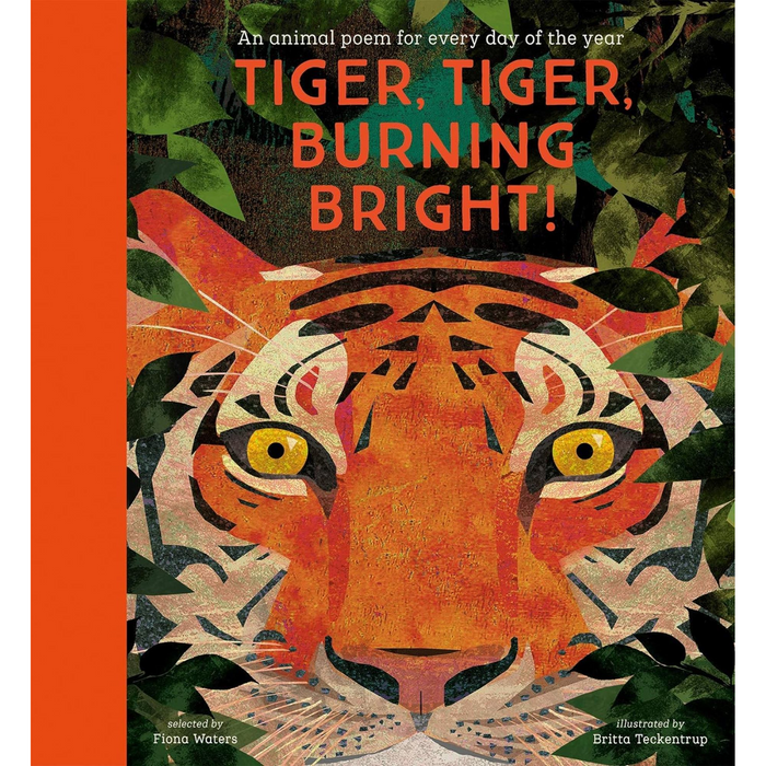 National Trust: Tiger, Tiger, Burning Bright!