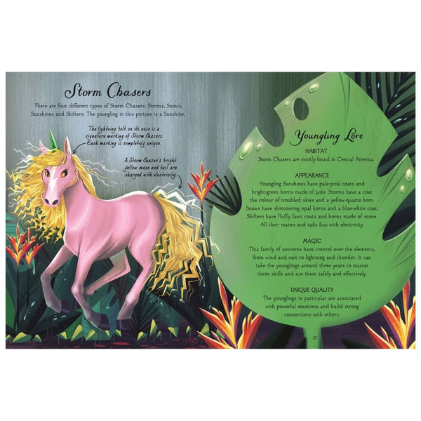 Baby Unicorns (The Magical Unicorn Society) - My Little J